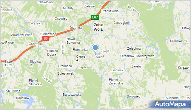 mapa Kaleń, Kaleń gmina Żabia Wola na mapie Targeo